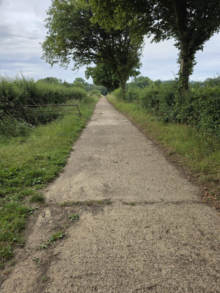 Concrete Path 