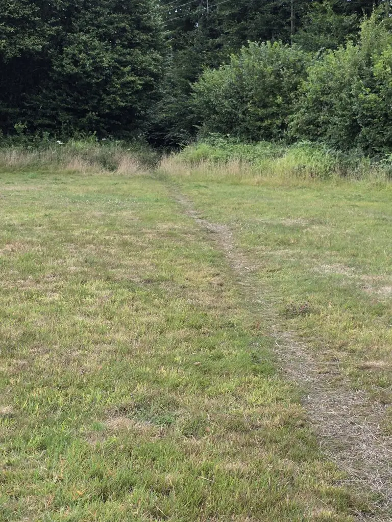 path in a field